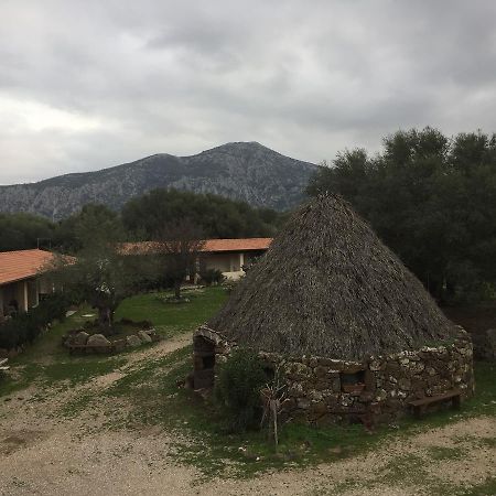 Turismo Rurale Su Cuile Villa Dorgali Eksteriør billede