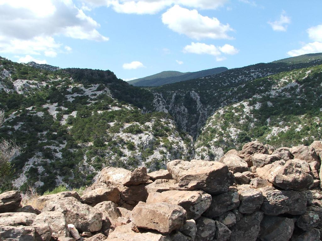 Turismo Rurale Su Cuile Villa Dorgali Eksteriør billede