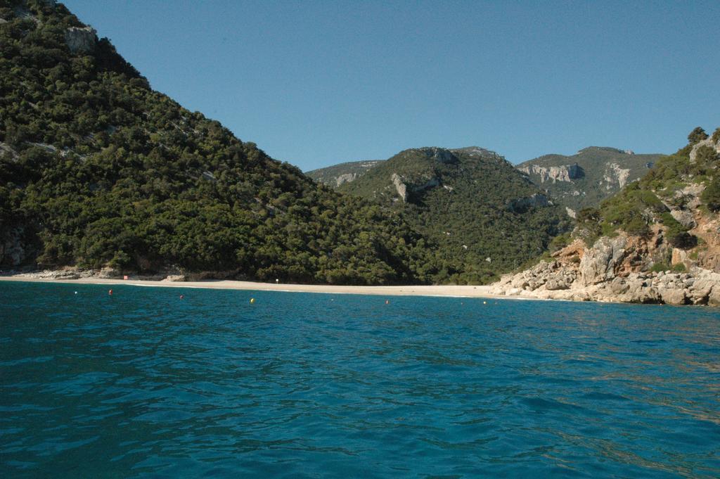 Turismo Rurale Su Cuile Villa Dorgali Eksteriør billede