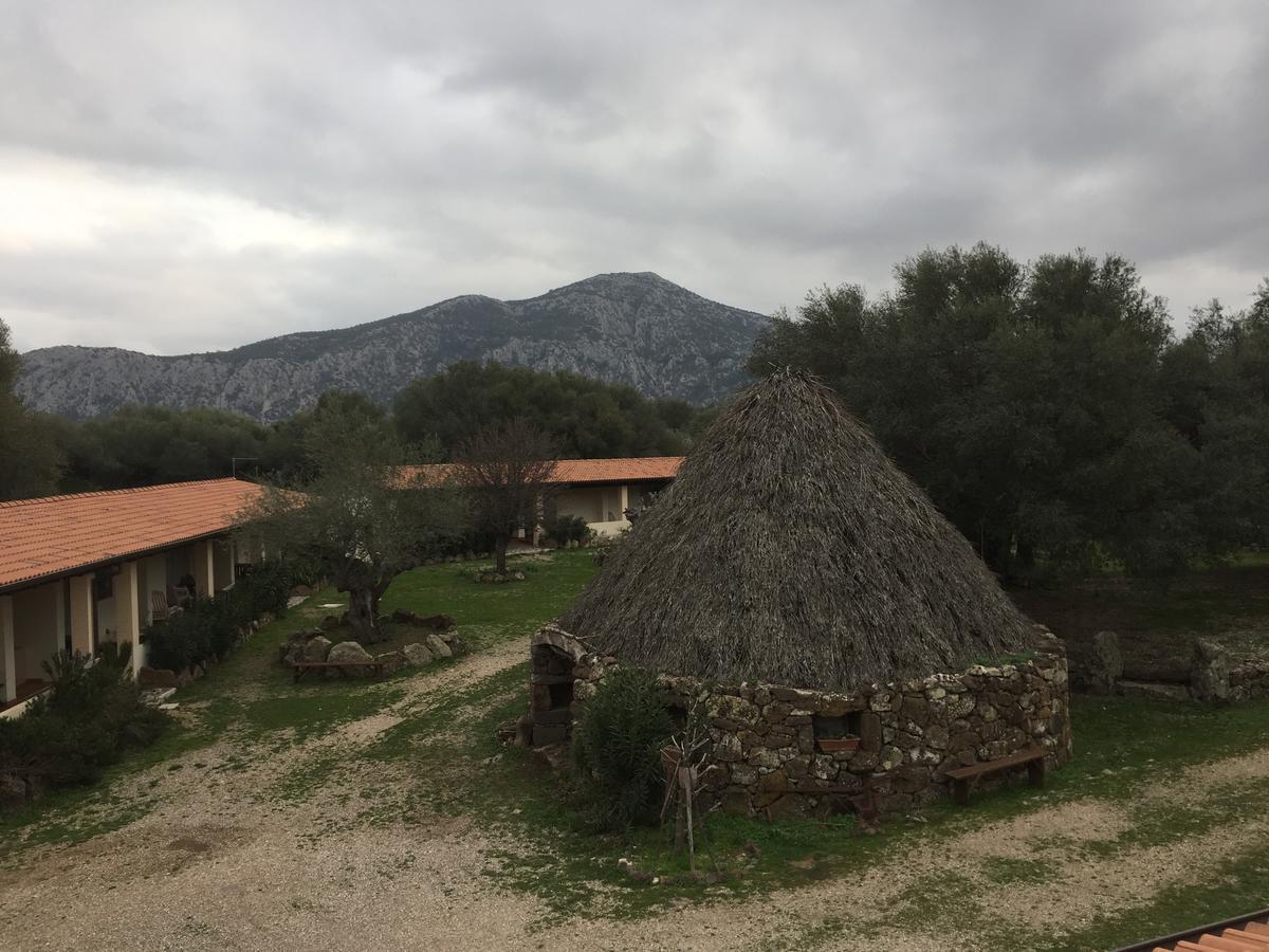 Turismo Rurale Su Cuile Villa Dorgali Eksteriør billede