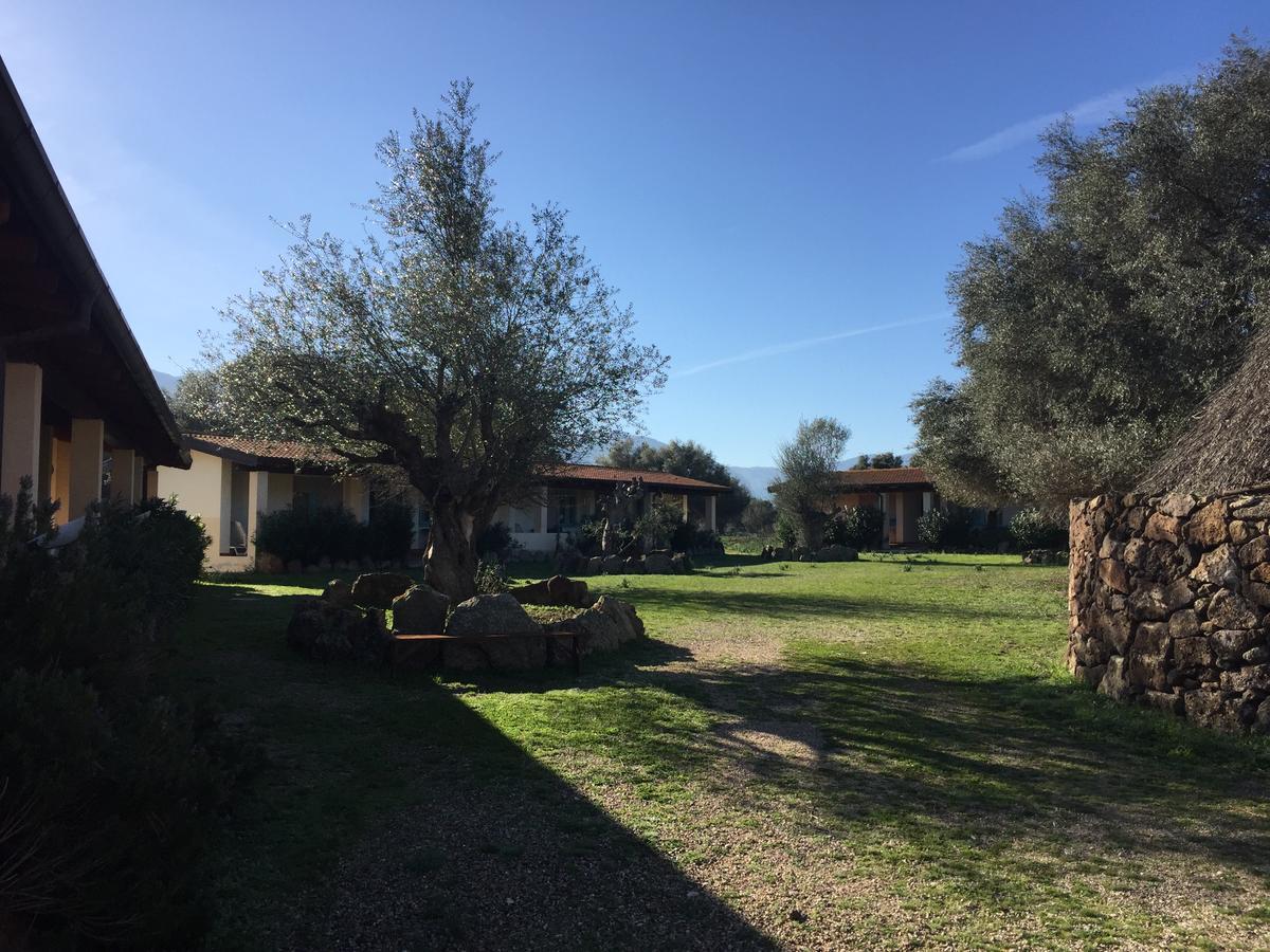 Turismo Rurale Su Cuile Villa Dorgali Eksteriør billede